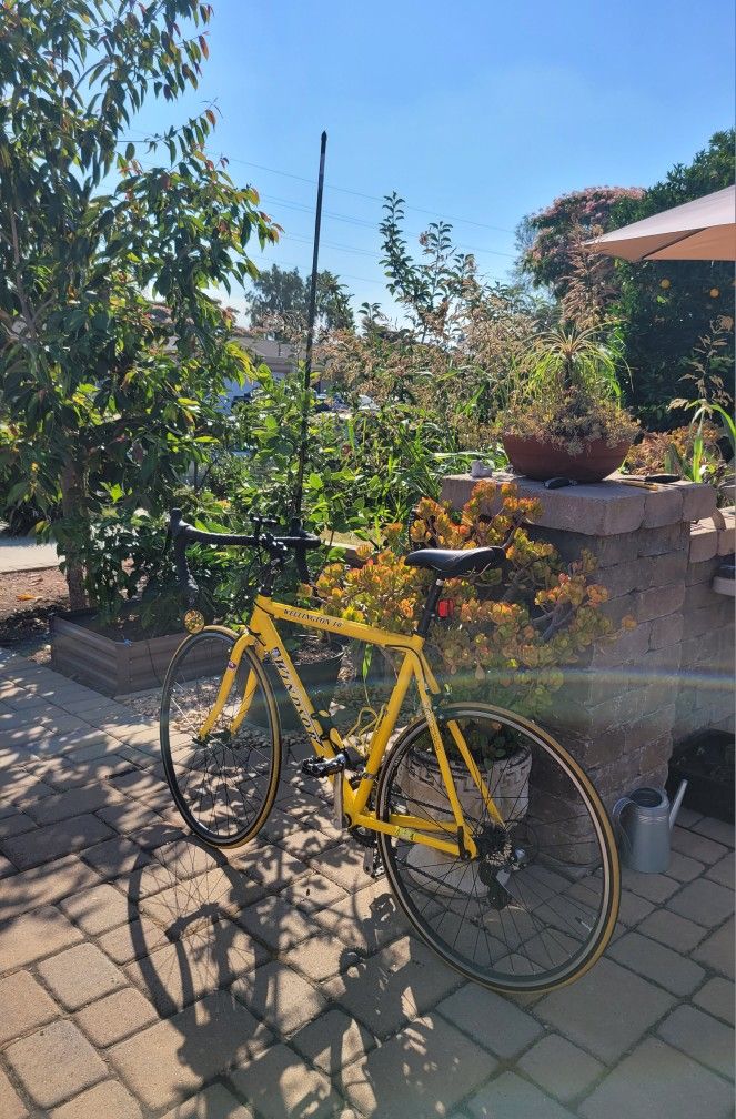 Windsor Wellington 1.0 Road Bike $250