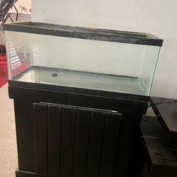 Fish Or Turtle Tank