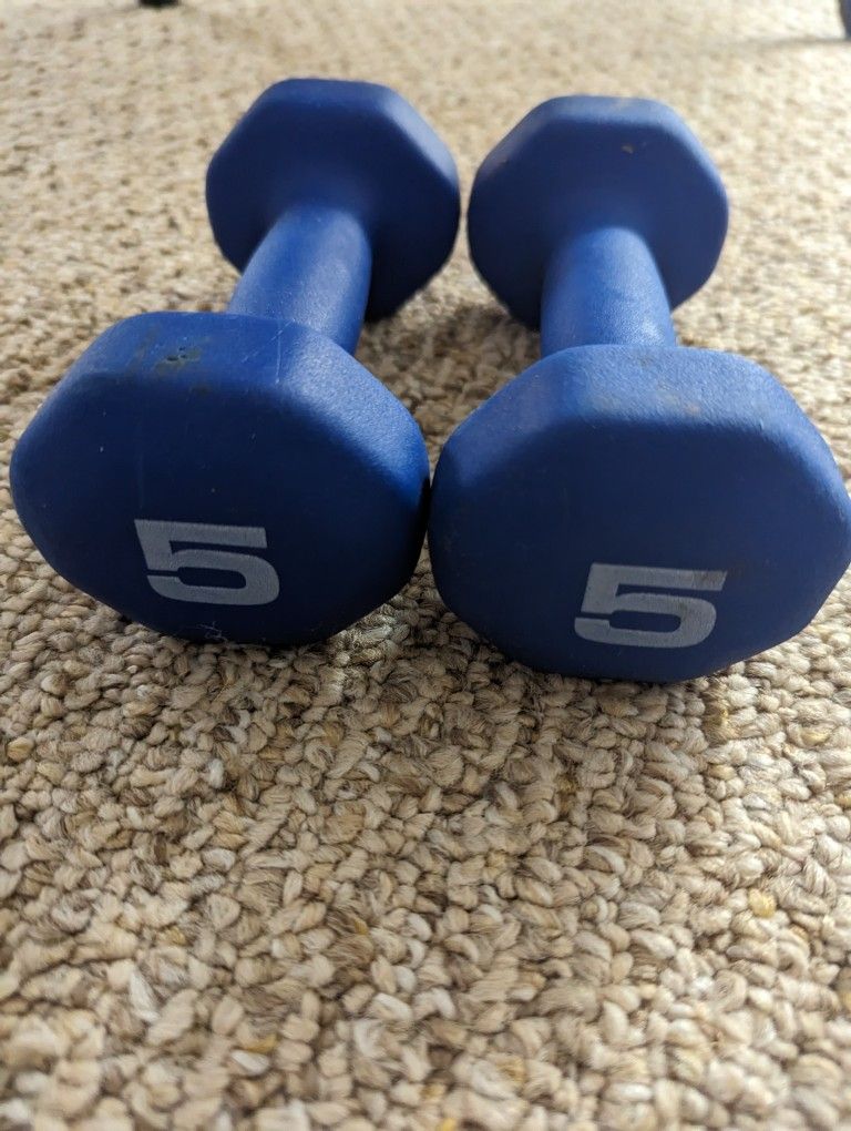 5lb Dumbbell Set