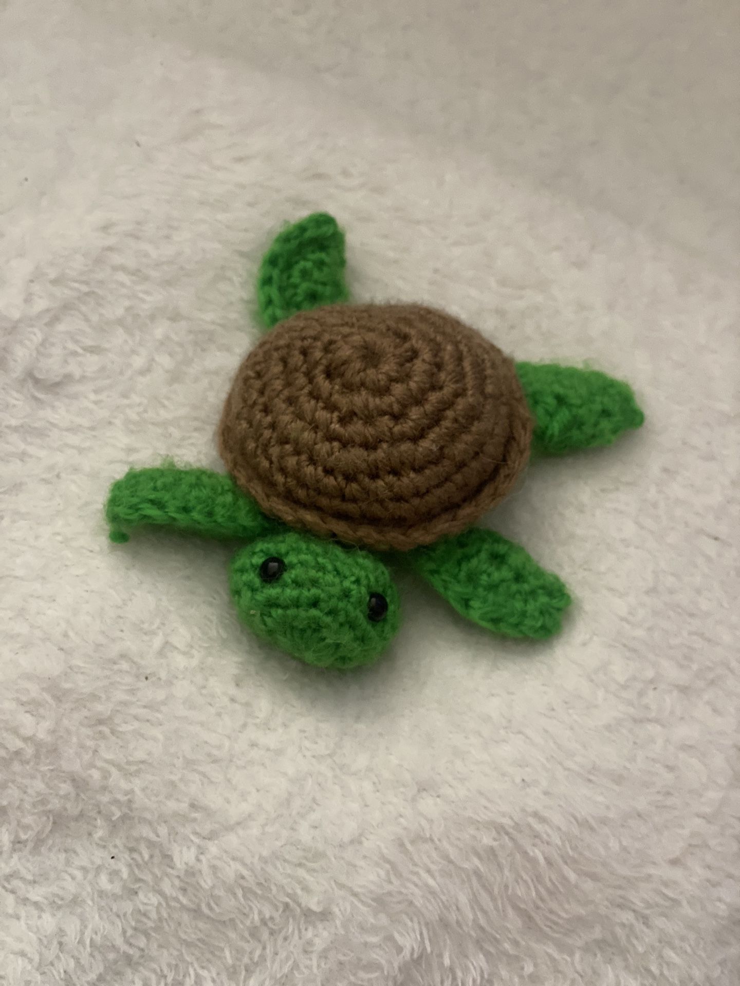 🐢 Pebbles The Turtle