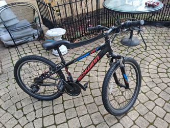 Schwinn Boys Bike Mountain 