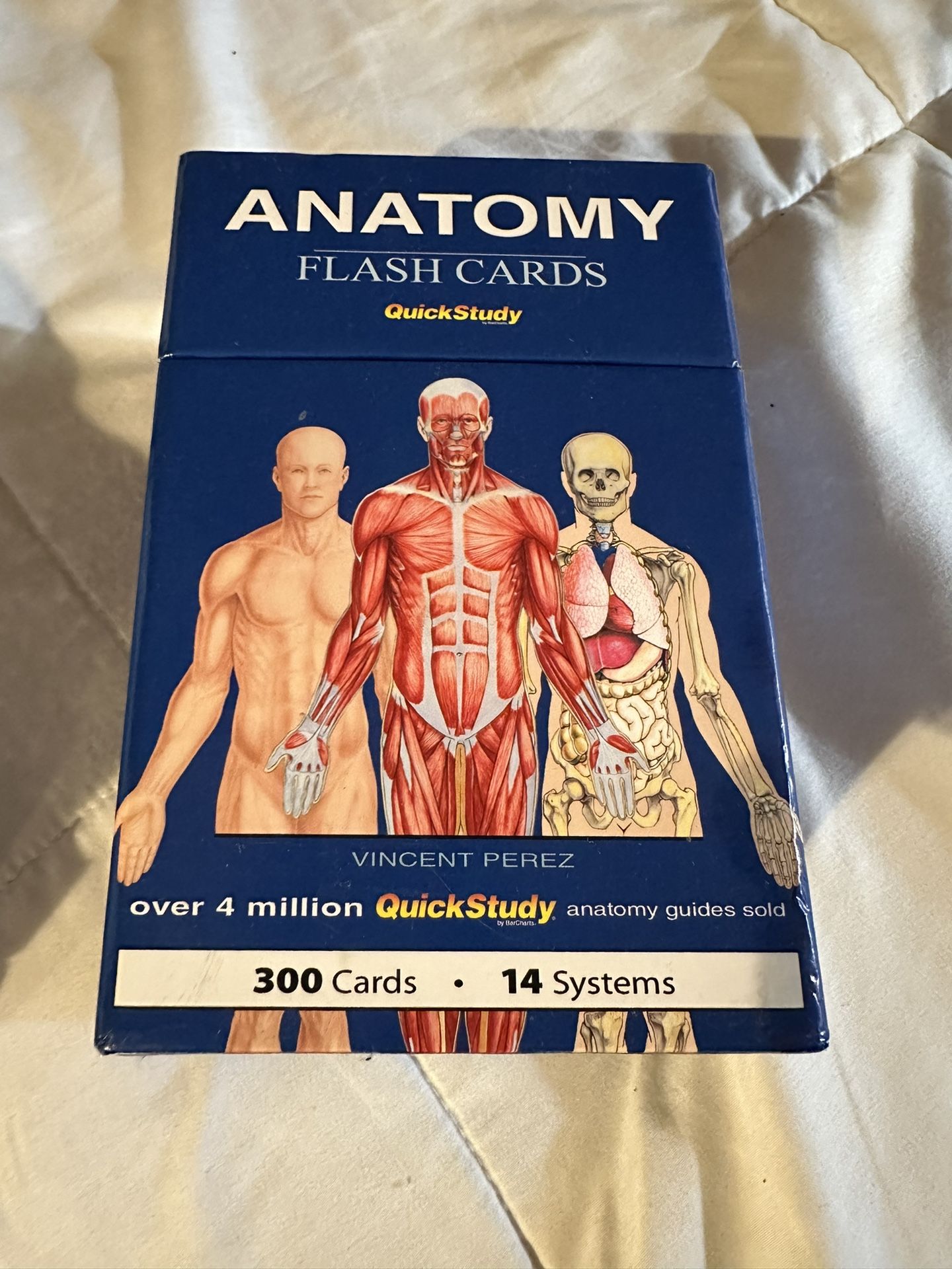 Anatomy Flash Cards