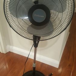 Fan