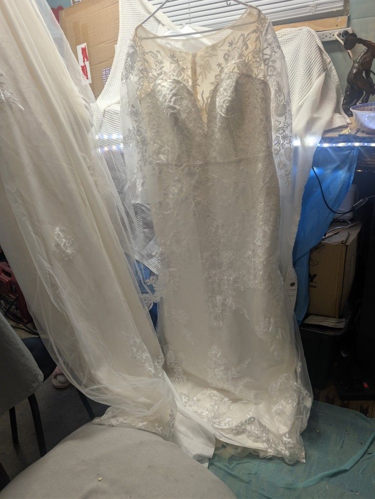 Wedding Gown. Plus Size.  