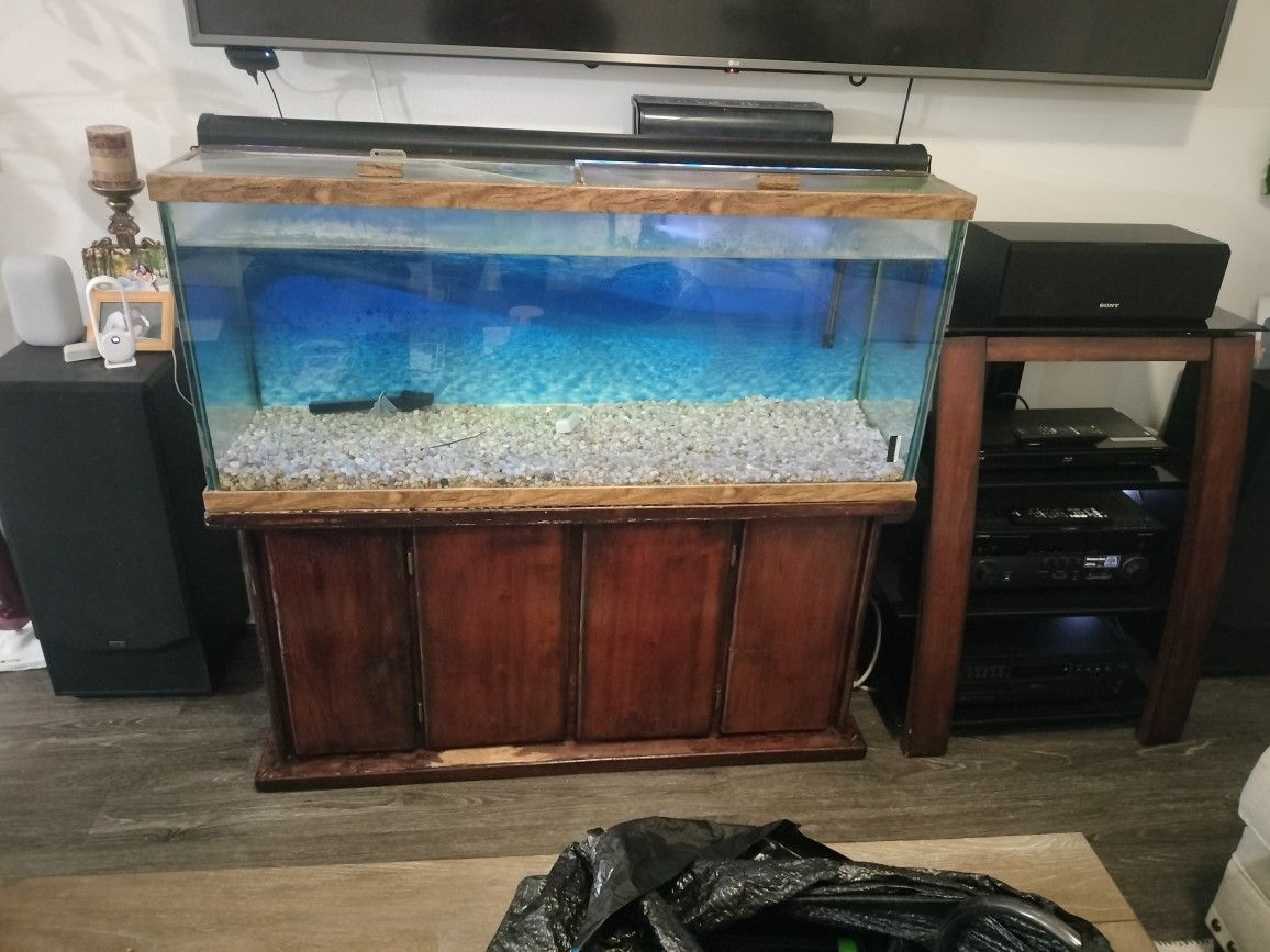 75 Gallon Fish Tank, Stand, Rocks , & Accessories