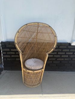 Peacock chair