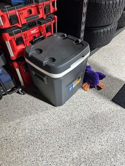 $20 igloo ice chest