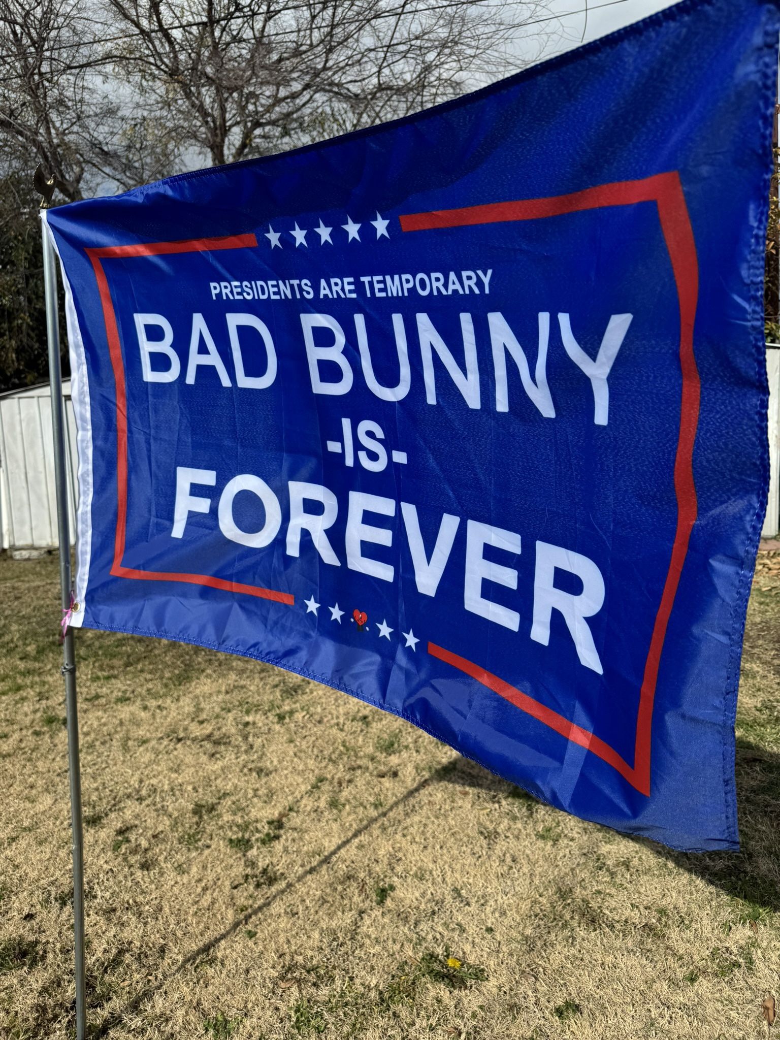 Dtmf Bad Bunny Tour Flag