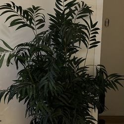 West elm basket Home Depot Faux Plant