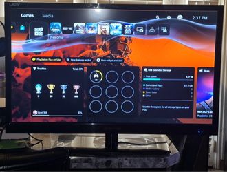 Scenery 29’ monitor