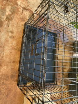 Kennel