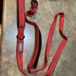Padded Double handed dog leash