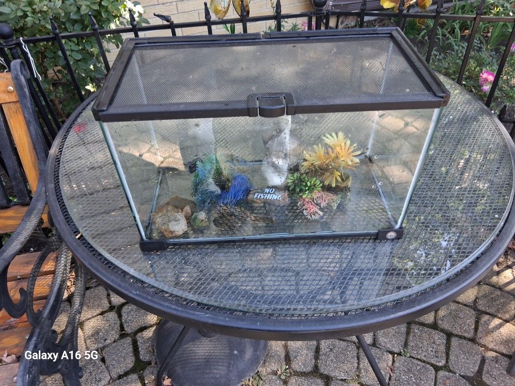FISH / Lizard Tank