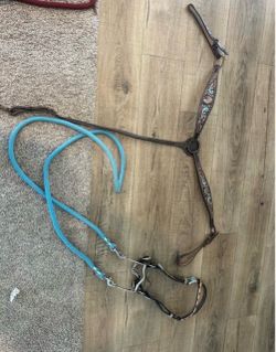 Horse tack