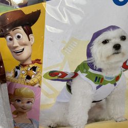 HALLOWEEN DOG COSTUME 