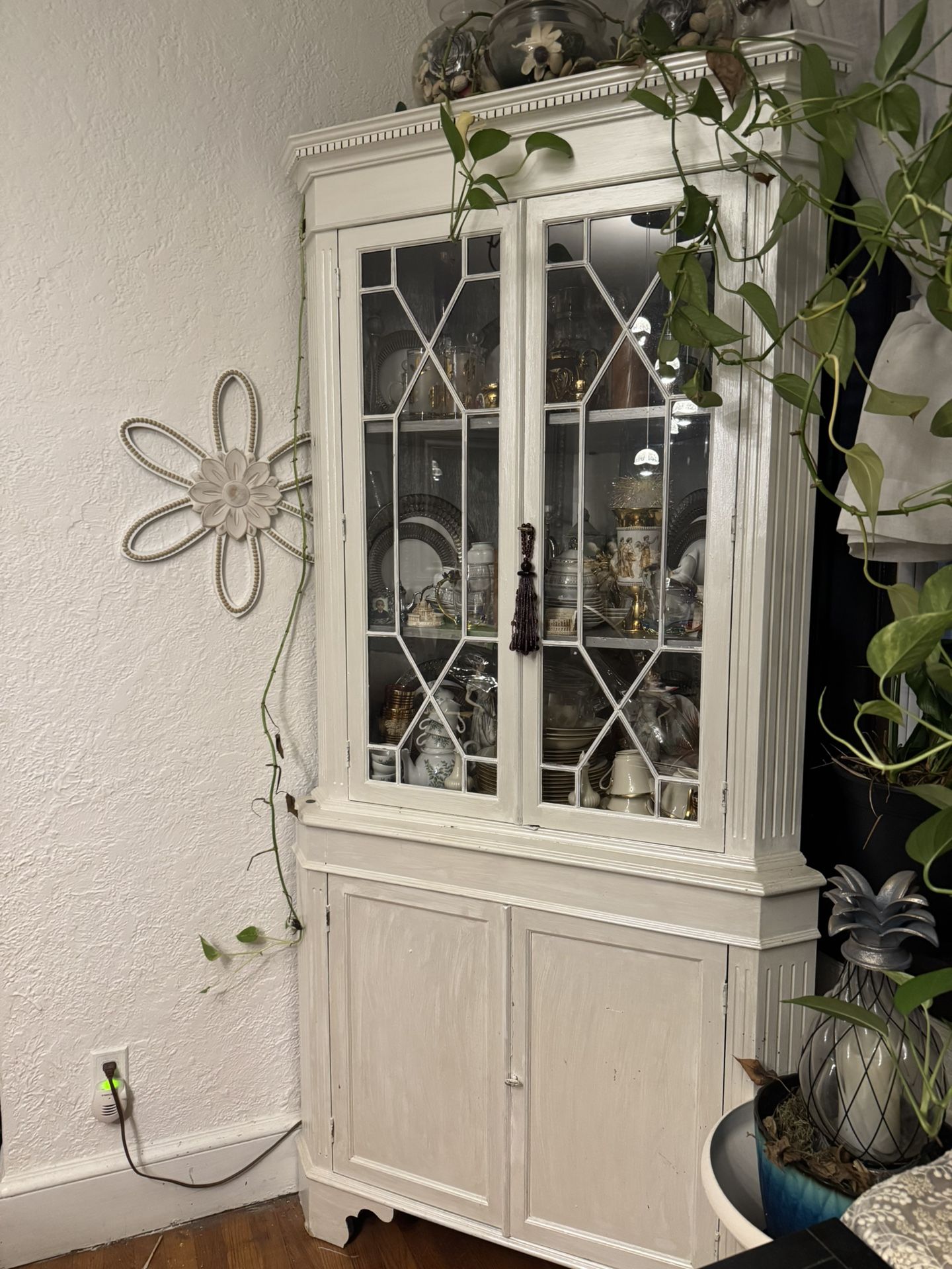 Free. Free. Corner back  Free