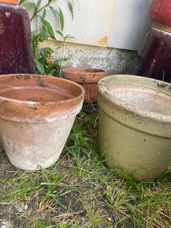 Plant pot