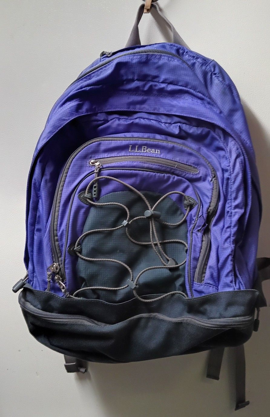 LL Bean Travel Padded Computer Hiking Backpack Purple 296937