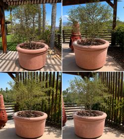 Pair of large patio cement pots terra-cotta color