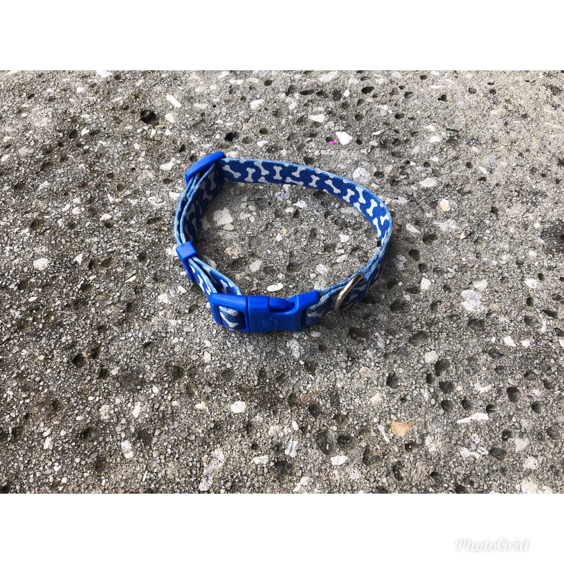 small dog collar(blue)