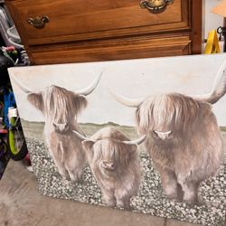 Cow Art Photo