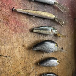Lures   6. $ 10.00 
