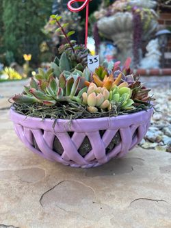 Mother’s Day Succulent arrangement