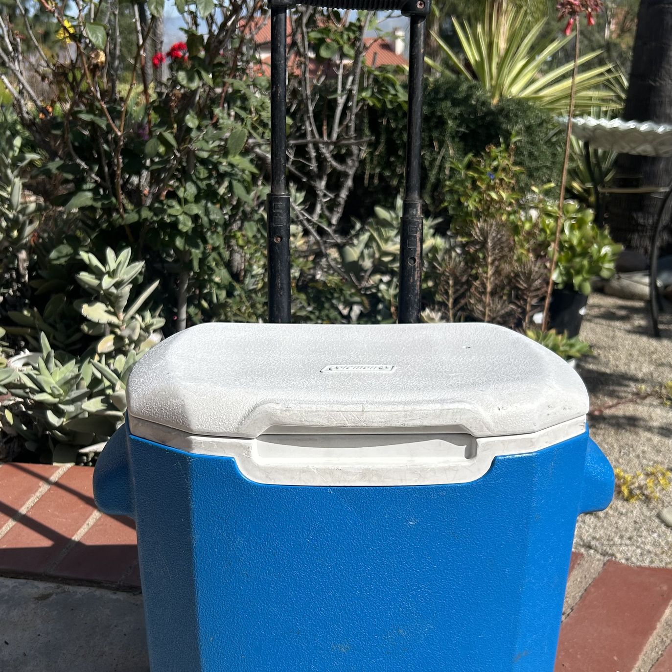 Coleman Wheeled Cooler for Kids in excellent condition