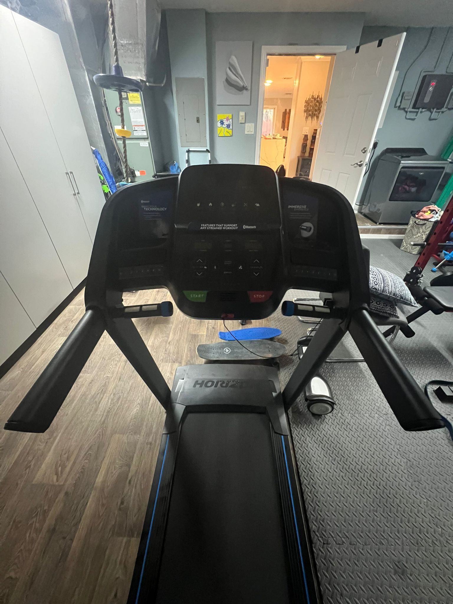Horizon Treadmill