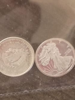 (2) 1/10 oz .999 rounds