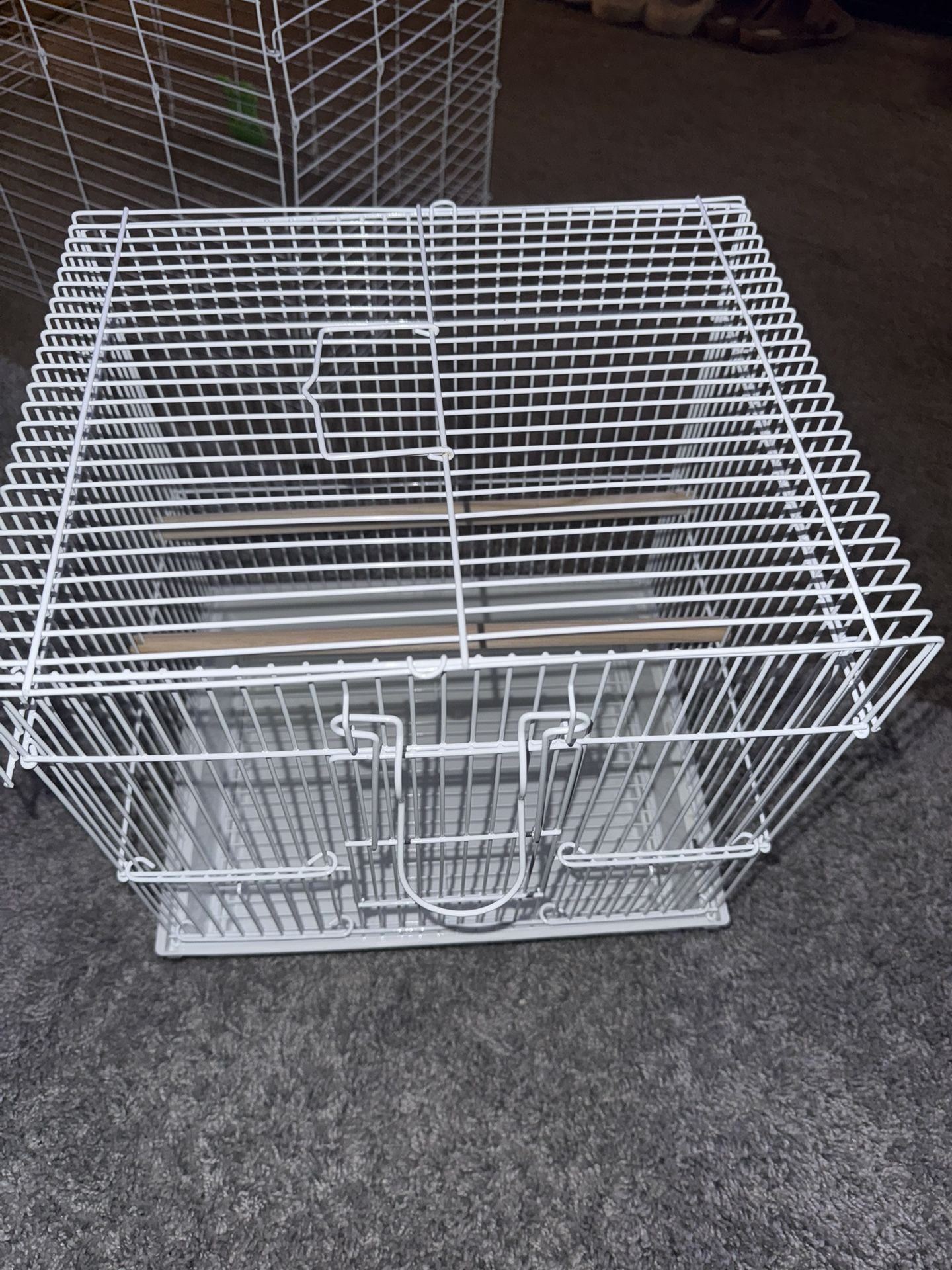 Brand new buggie parakeet cage With food and treats
