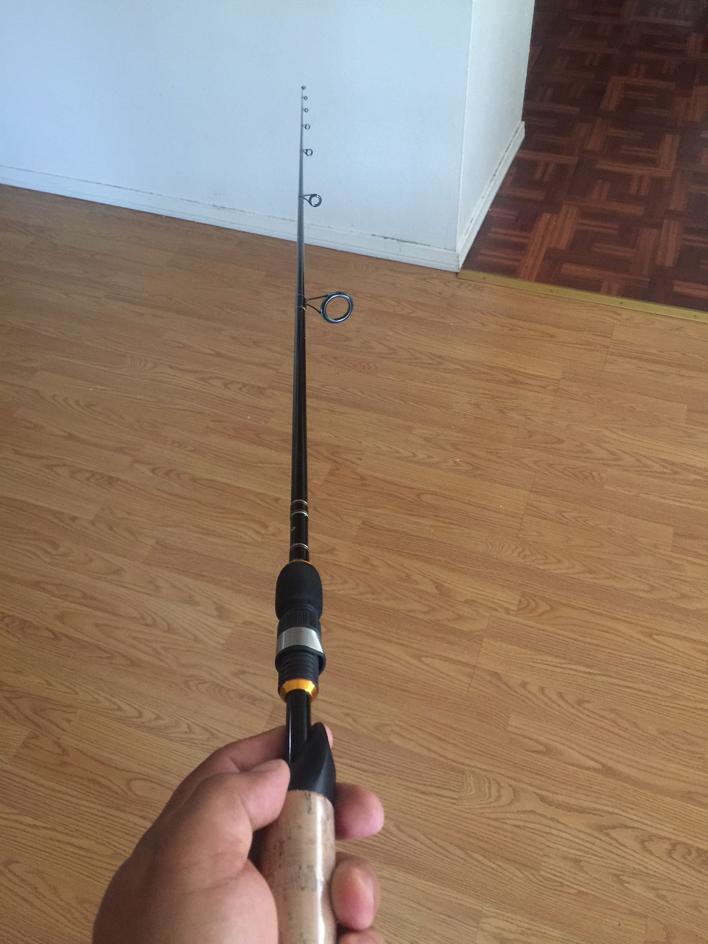 Fishing rod