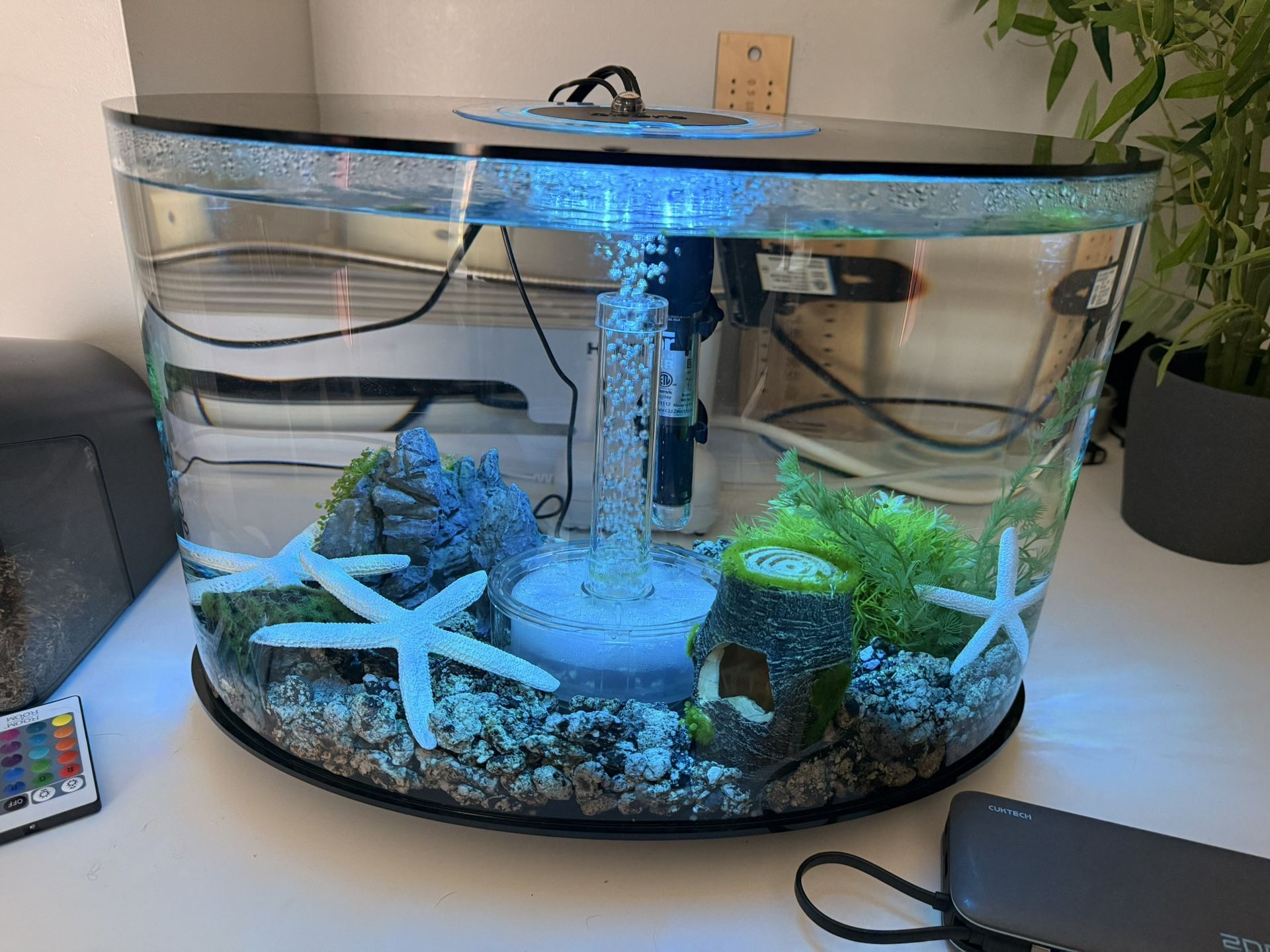 biOrb Loop-15 4-Gallon Aquarium w/LED Lights