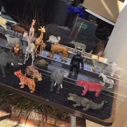 Collectible Jungle Characters