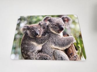 Wooden Puzzle Featuring A Mother Koala And Her Joey