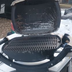 Webber Q100 Portable Grill