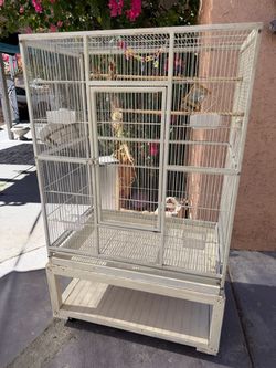 Bird cage