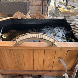 Ponds - Wood Pond And Plastic Pond