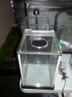 Small glass Fluval aquarium