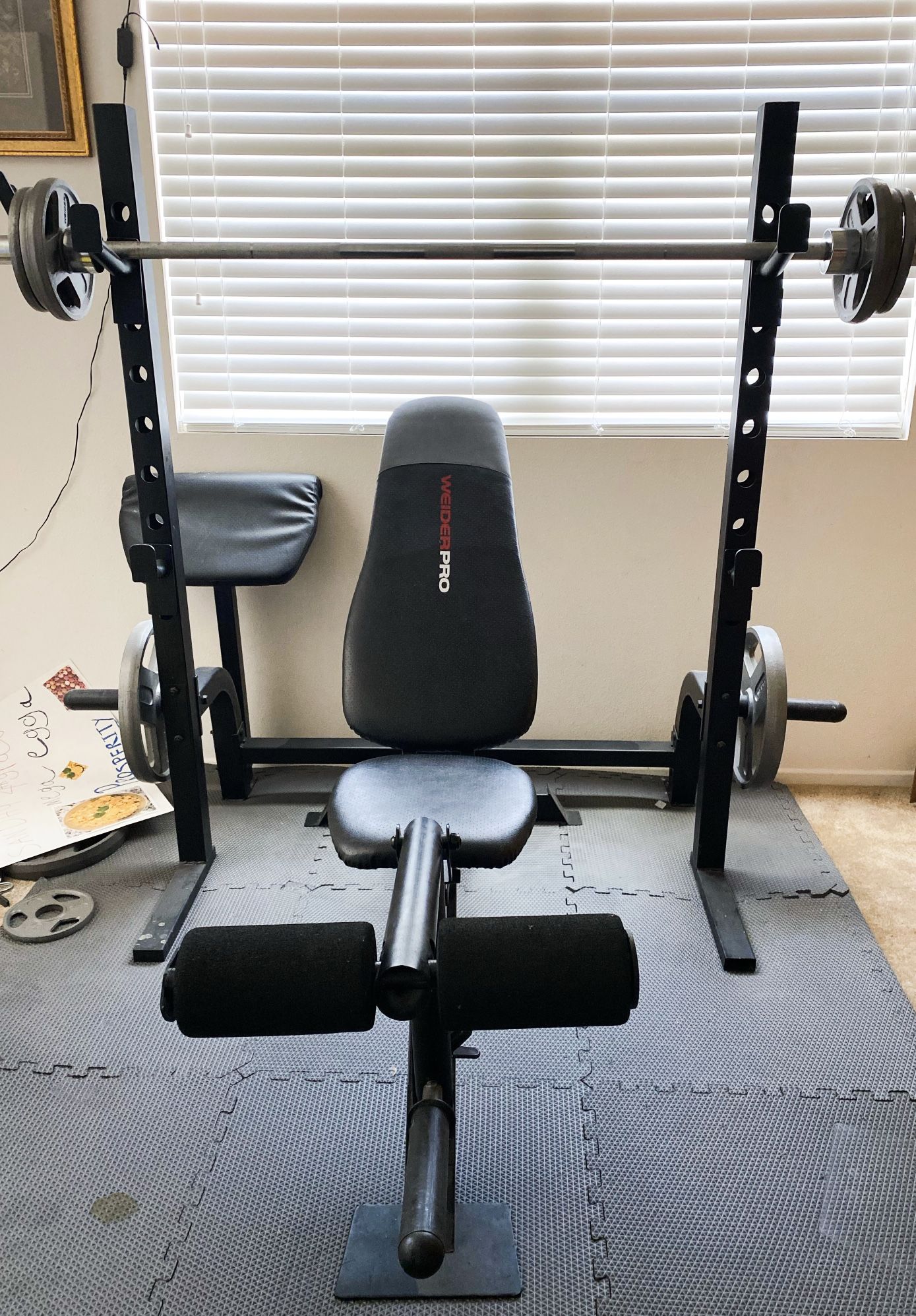 Weider Pro Bench Press With 165lbs Weights