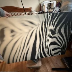 Zebra Canvas