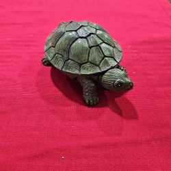 Hide A Key Turtle 