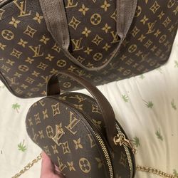 Louis Vuitton Bags
