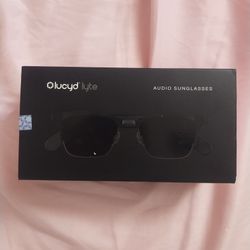 Lucyd Earthbound Glasses 