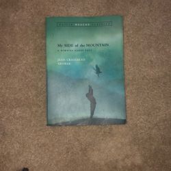 My side of the mountain book