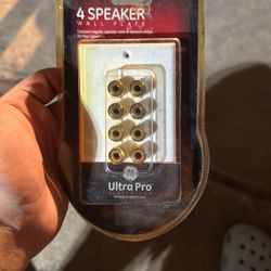 Speaker Wall Plate