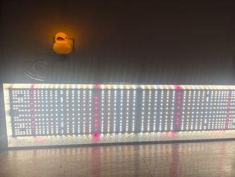 Grow light 300watt