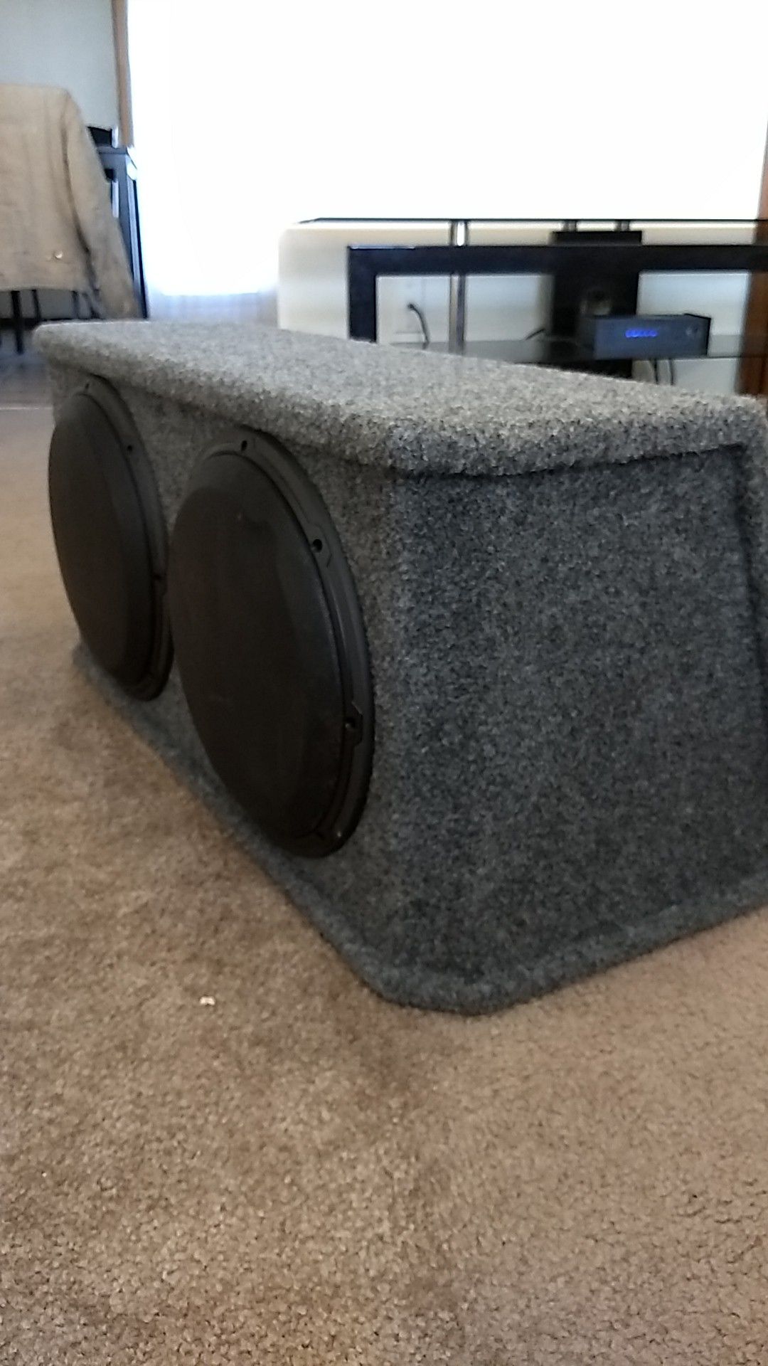 JL Subwoofers and Amp