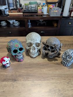 Skull Collection