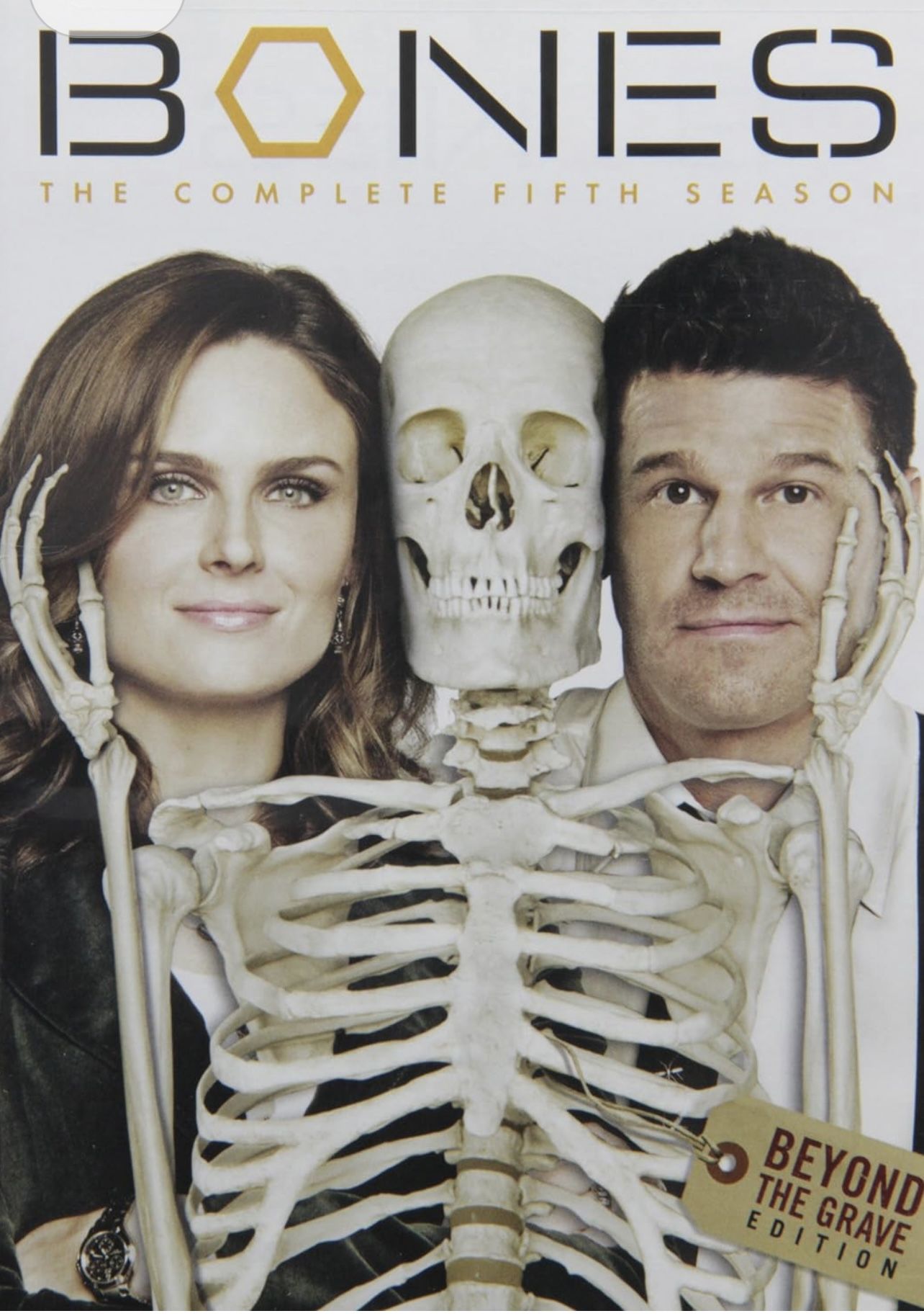 BONES - TV SERIES - Season 5 - DVDs